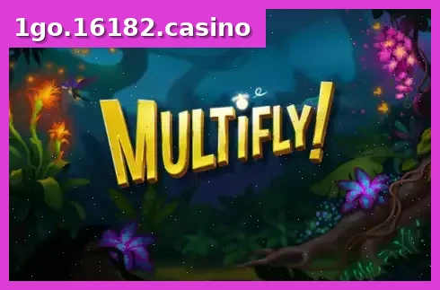 Multifly
